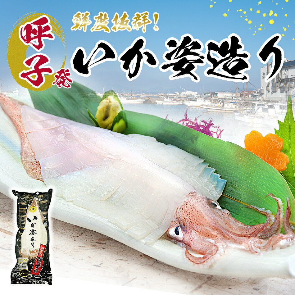 呼子剣先いか姿造り（S1サイズ）×1P 呼子のイカ 冷凍便／お歳暮