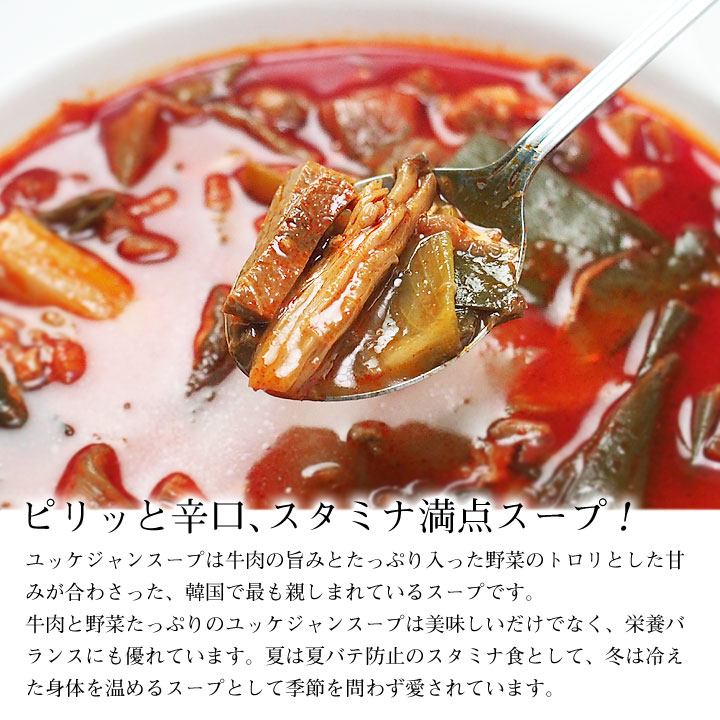 辛口ビーフユッケジャンスープ570g（約2～3人前）