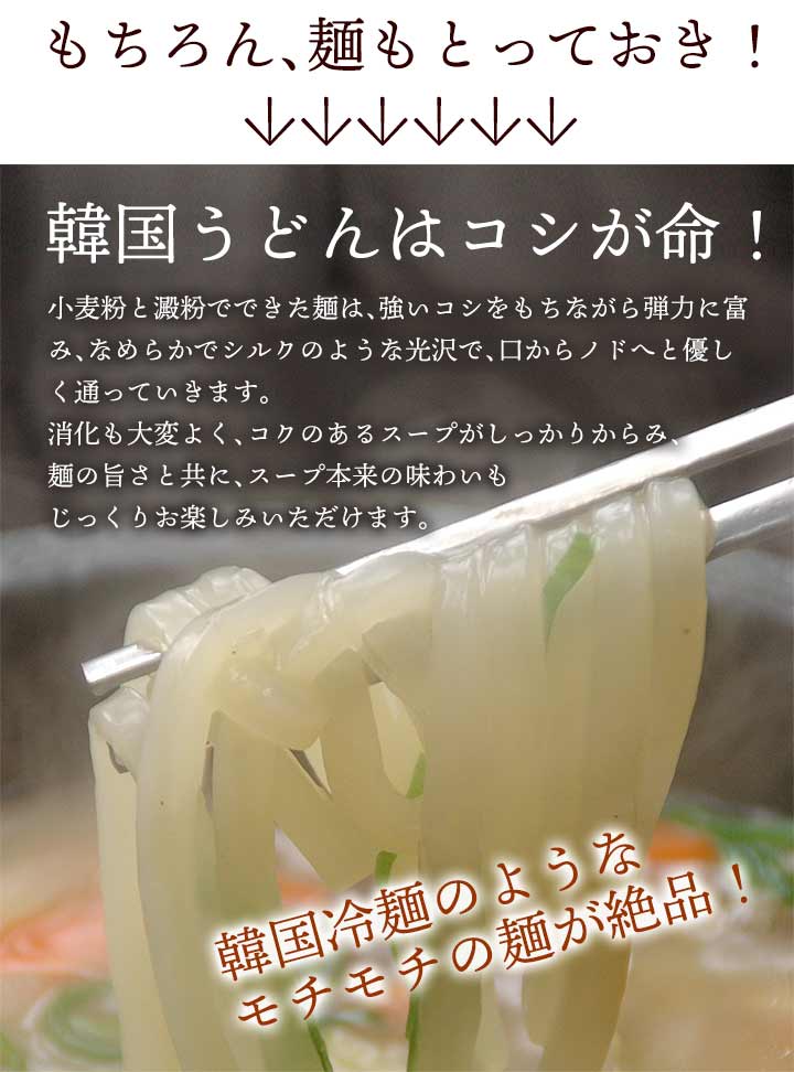 韓国うどん 10食セット（塩カルビスープ味×5食、ユッケジャンスープ味×5食）常温便・冷蔵便・冷凍便可 送料無料 業務用 韓国食品 韓国料理 韓国グルメ 旨辛 韓国麺 おとりよせ ギフト キムチでやせる