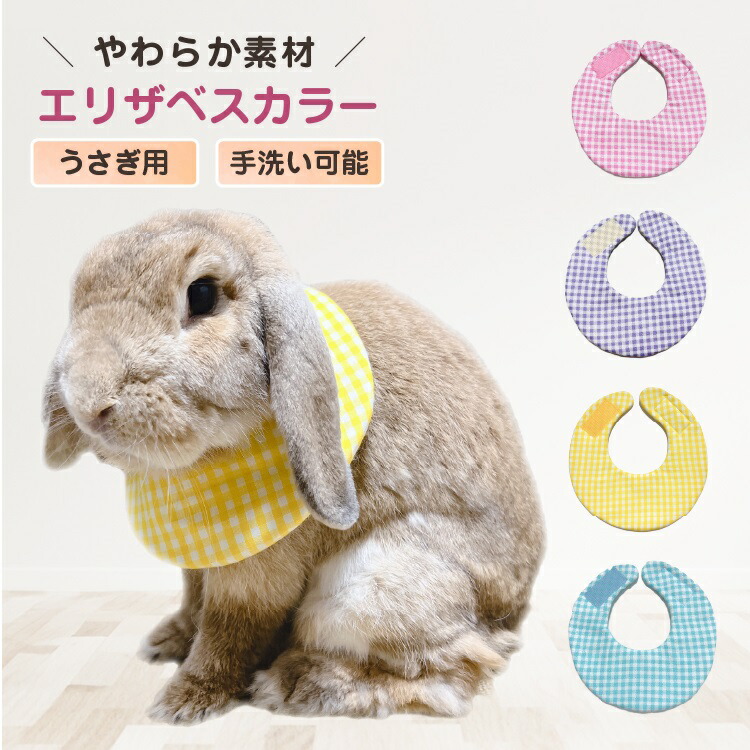楽天市場】ハイペット プロセレクト うさぎのきわみ 850g うさぎ