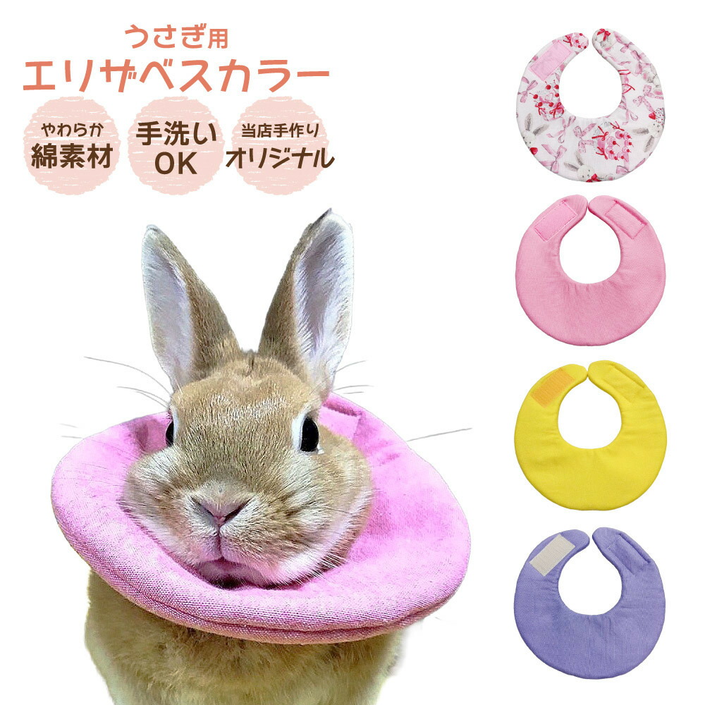 楽天市場】ハイペット プロセレクト うさぎのきわみ 850g うさぎの