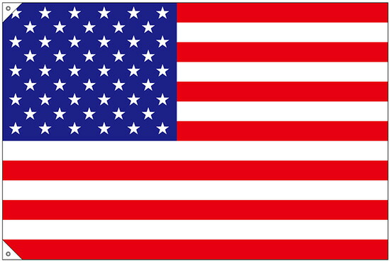 ポロベアトイ アメリカ国旗 imgrc0066457586.jpg