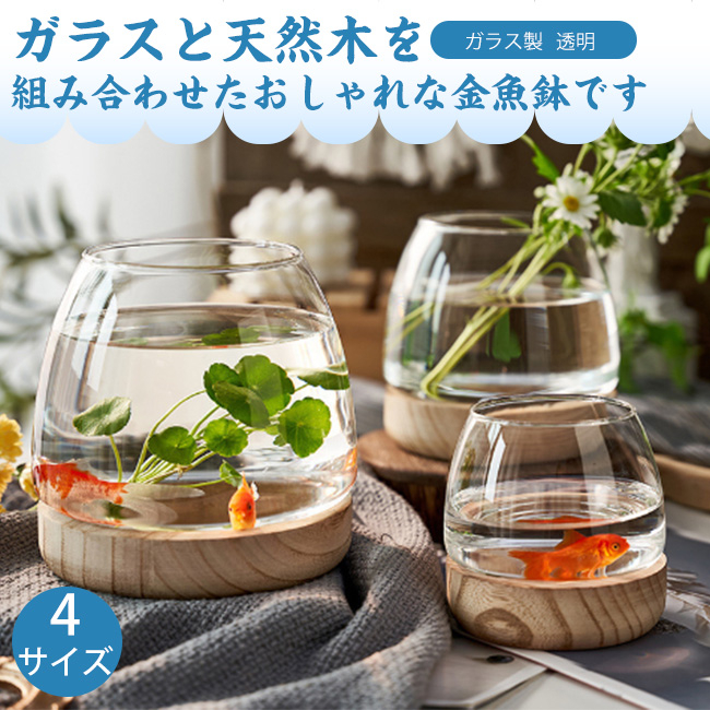 楽天市場】透明 金魚鉢 睡蓮鉢 鉢 メダカ鉢 多機能 丸 クリア