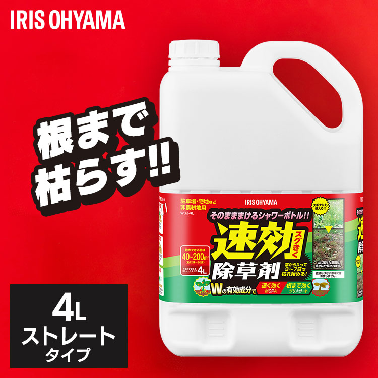 楽天市場】保冷剤ハード CKB-350 アイリスオーヤマ : 収納・家具・寝具