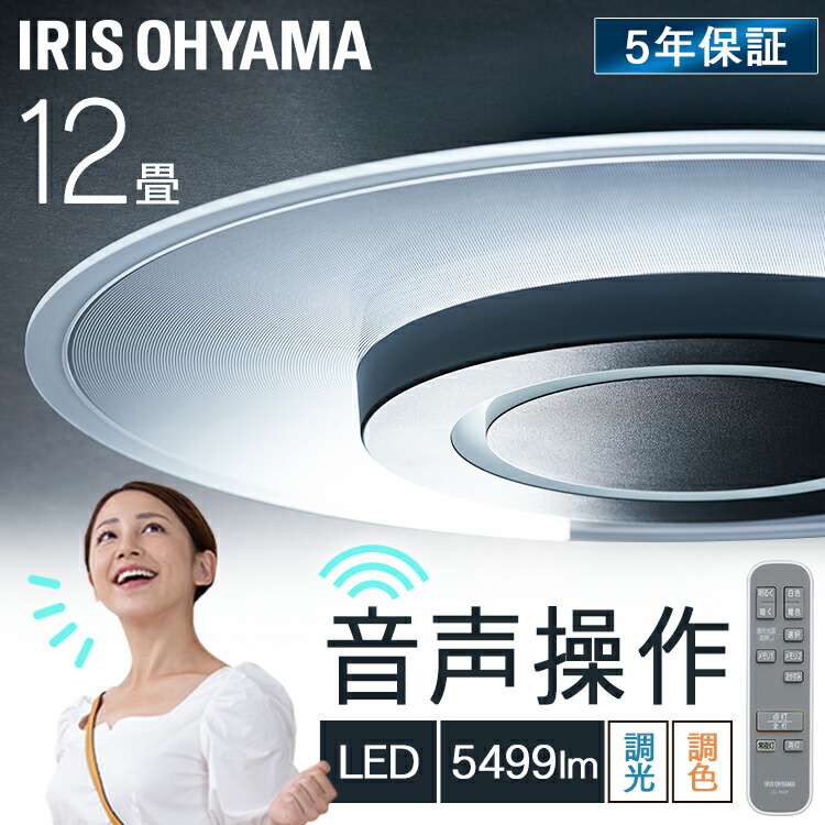 ★41%OFF★シーリングライト おしゃれ 12畳 音声操作 パネルライト 調光調色 led リモコン 薄型 アイリスオーヤマ タイマー パネルライト 導光パネル 声 音声 省エネ LEDシーリングライト シーリング led照明 天井照明 照明 リビング照明 CEK-A12DLPV【B】[2604SO]