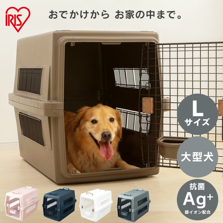 暑さ打つ手-2026-