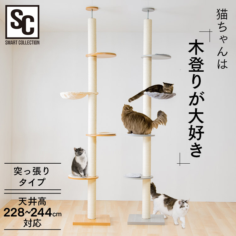 楽天市場】木登りキャットタワー KCCT‐244送料無料 キャット