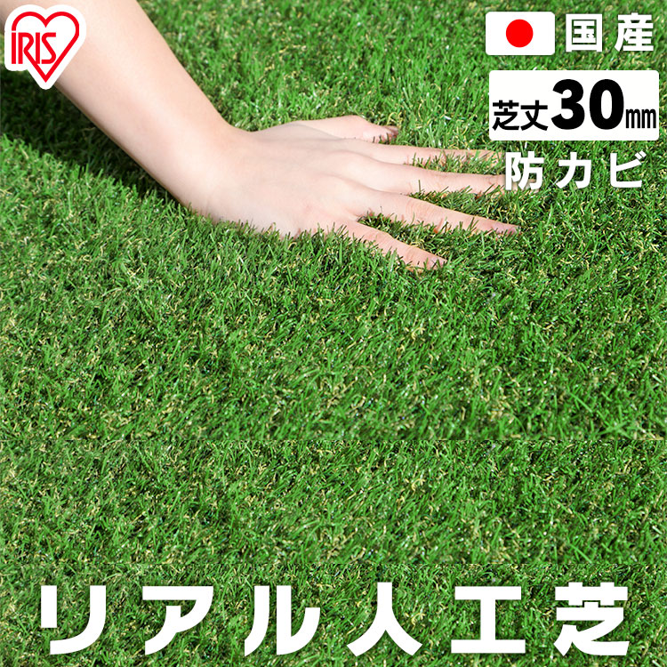 楽天市場】[10日限定!P最大22倍]人工芝 ロール 2m×5m 芝丈30mm IP-3025