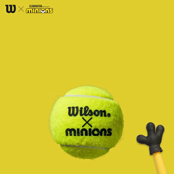 ウィルソン テニス ボール Minions Tennis Balls ミニオンズ テニスボール 3球入 24缶 Wr septicin Com
