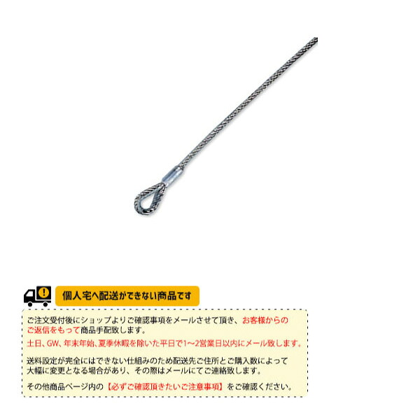 寺西喜ネット テニスコート用品 テニスネット上部ロープ 硬式用ステンレスワイヤーロープ KT-4242