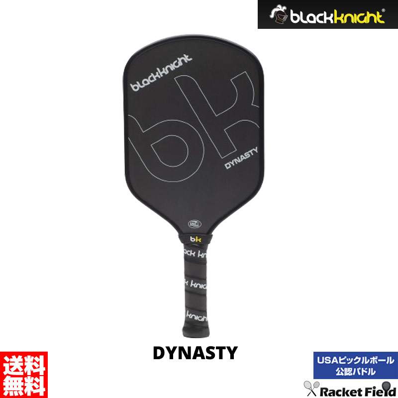 アイベック PP-9131  ヨーラ DYNASTY 専用ケース付 日本製 日本バドミントン協会検定合格品 中級 初級 バドミントンコートと同じスペース、ネット、パドル、ボールがあれば“誰でも手軽にプレー”できる新しいスポーツ