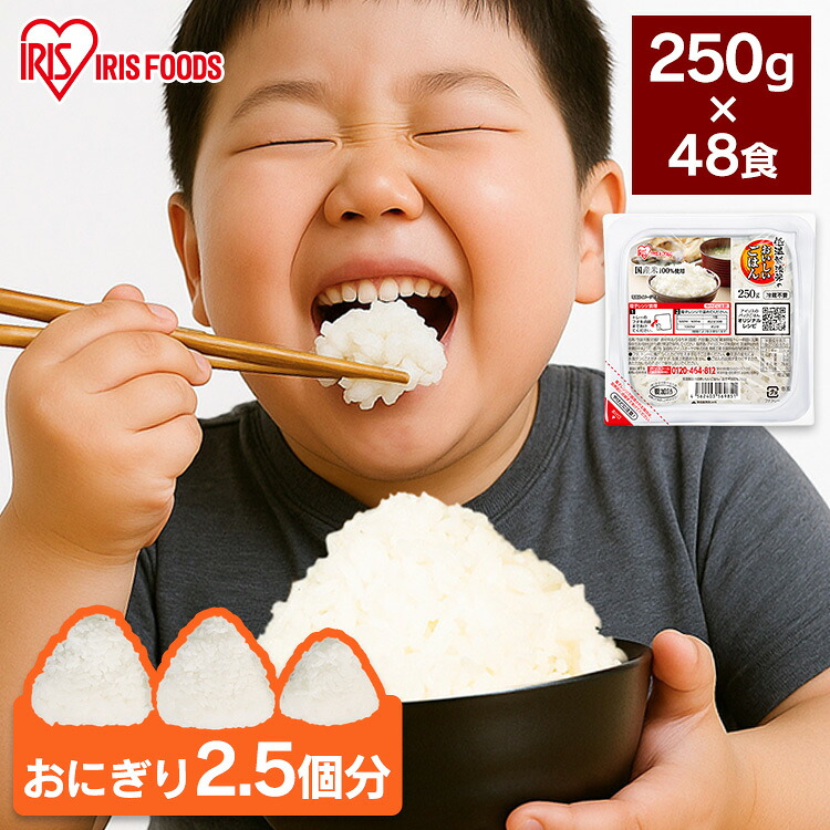 パックご飯 レトルトご飯 250g 48食 大盛 お茶碗約1.6杯分 アイリスオーヤマ アイリスフーズ パックごはん ご飯パック 低温製法米米100％使用 備蓄 非常食 防災食 一人暮らし 250グラム 低温製法米のおいしいごはん *
