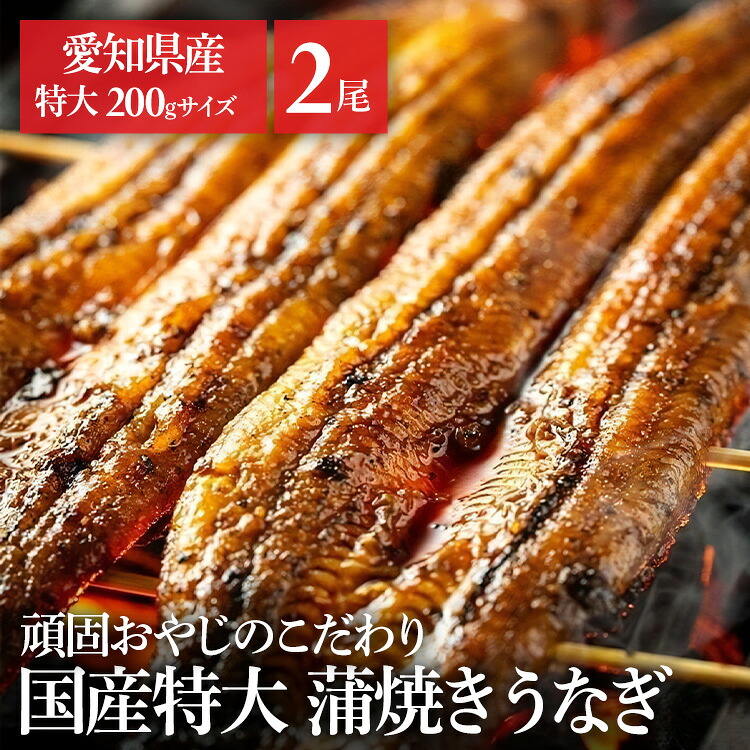 【2尾】頑固おやじのこだわり鰻 うなぎ かば焼き 国産 鰻蒲焼 冷凍 400g 愛知県 厳選 愛知県産 土用 Tokka 【TD】 【代引不可】