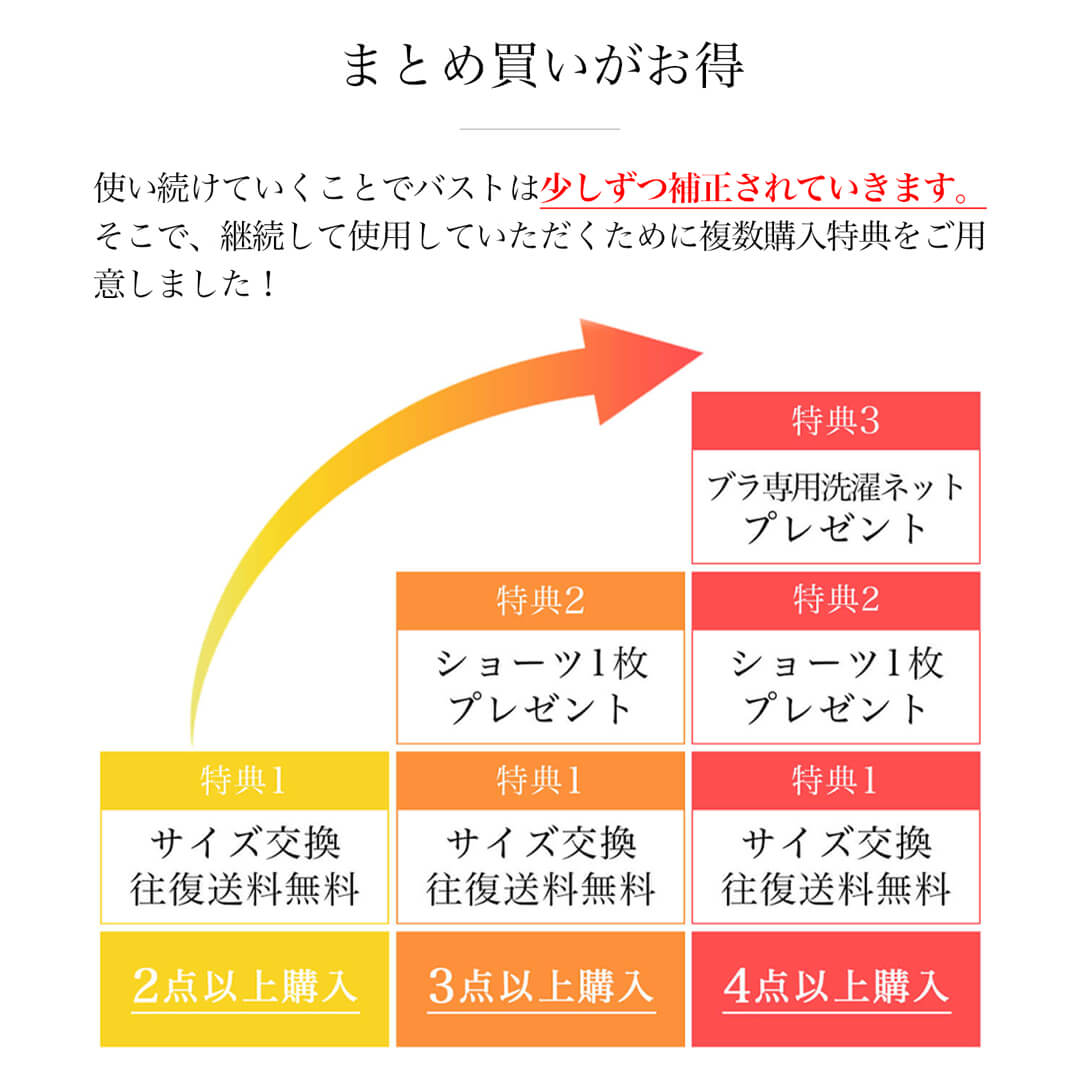 楽天市場 ガードル 大きいサイズ 骨盤ベルト お腹にチャックガードル 産後 産後 ニッパー 産後 ショーツ ハイウエスト 骨盤 無料ラッピング 母の日 ギフト プレゼント 実用的 贈り物 喜ばれる 全2色 全5サイズ ラディアンヌ ラディアンヌ 楽天市場店