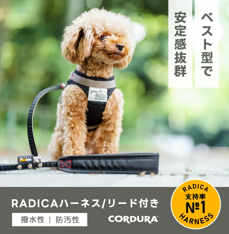 10％OFF】【新色追加】犬 小型犬 犬用 ハーネス リード 犬具 胴