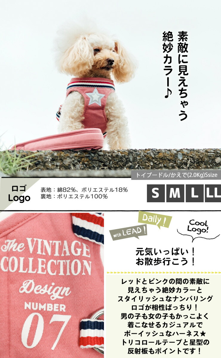 犬 小型犬 犬用 ハーネス リード 犬具 胴輪 リードセット 散歩 お出かけ 簡単装着 サイズ交換OK/返品不可 メール便可 RADICA+Y ハーネス (リード 付き) S M 訳あり❣️猫用ハーネスリード お出かけセット