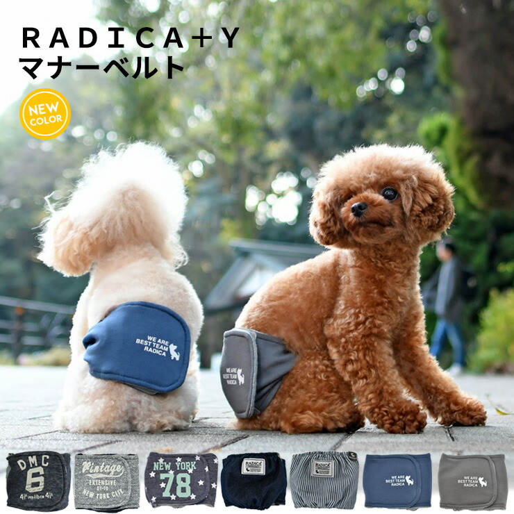 楽天市場 犬 小型犬 犬用 中型犬用 マナーウェア トイレ用品 マナーバンド ドッグウエア マーキング防止 介護用品 サイズ交換ok 返品不可 メール便可radica Y マナーベルト 犬の服 Radica ラディカ