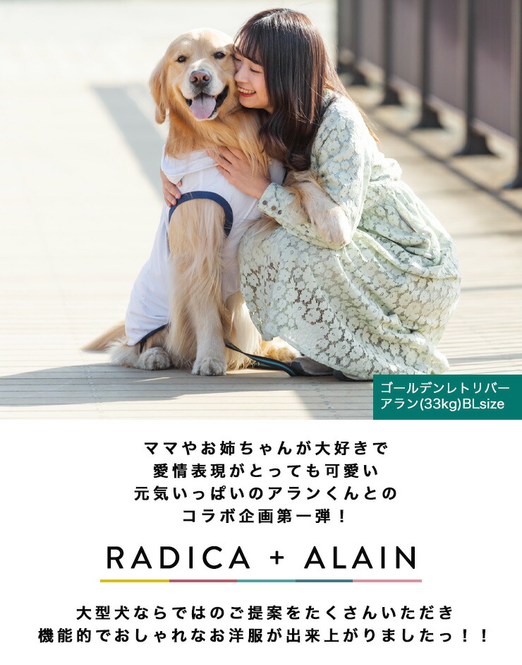 第一ネット クールメッシュウェア保冷剤ポケット付犬 大型犬 犬用 タンク 犬服 ウェア ドッグウエア 犬の服 アラン プレサーモc25 防蚊 虫よけ 返品交換不可 メール便不可 バスケパーカー Bs Bm Bl Www Tsujide Co Jp