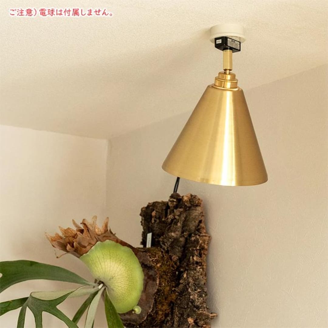 SALE｜百貨店SALE｜6/3（木）20:00～6/11（木）1:59