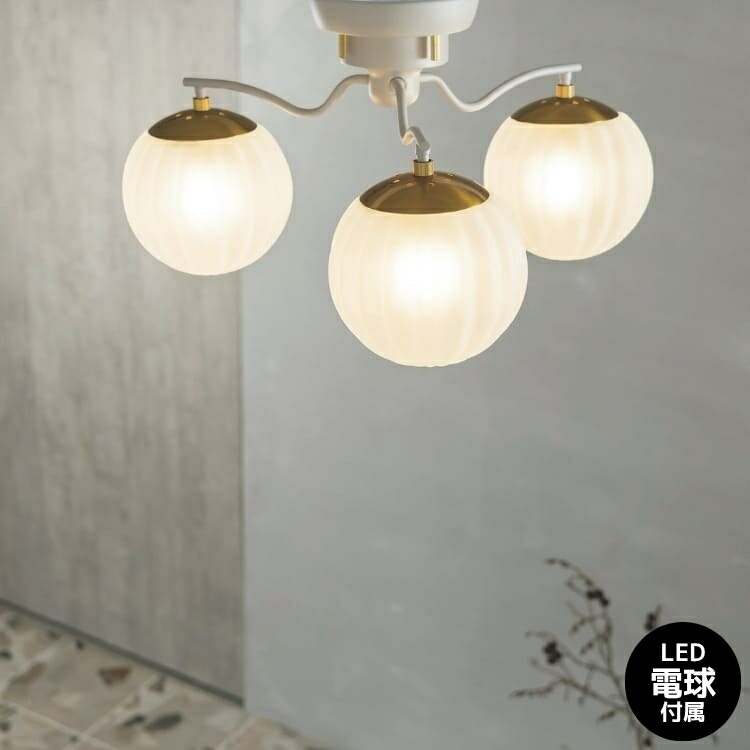 SALE｜百貨店SALE｜6/3（木）20:00～6/11（木）1:59