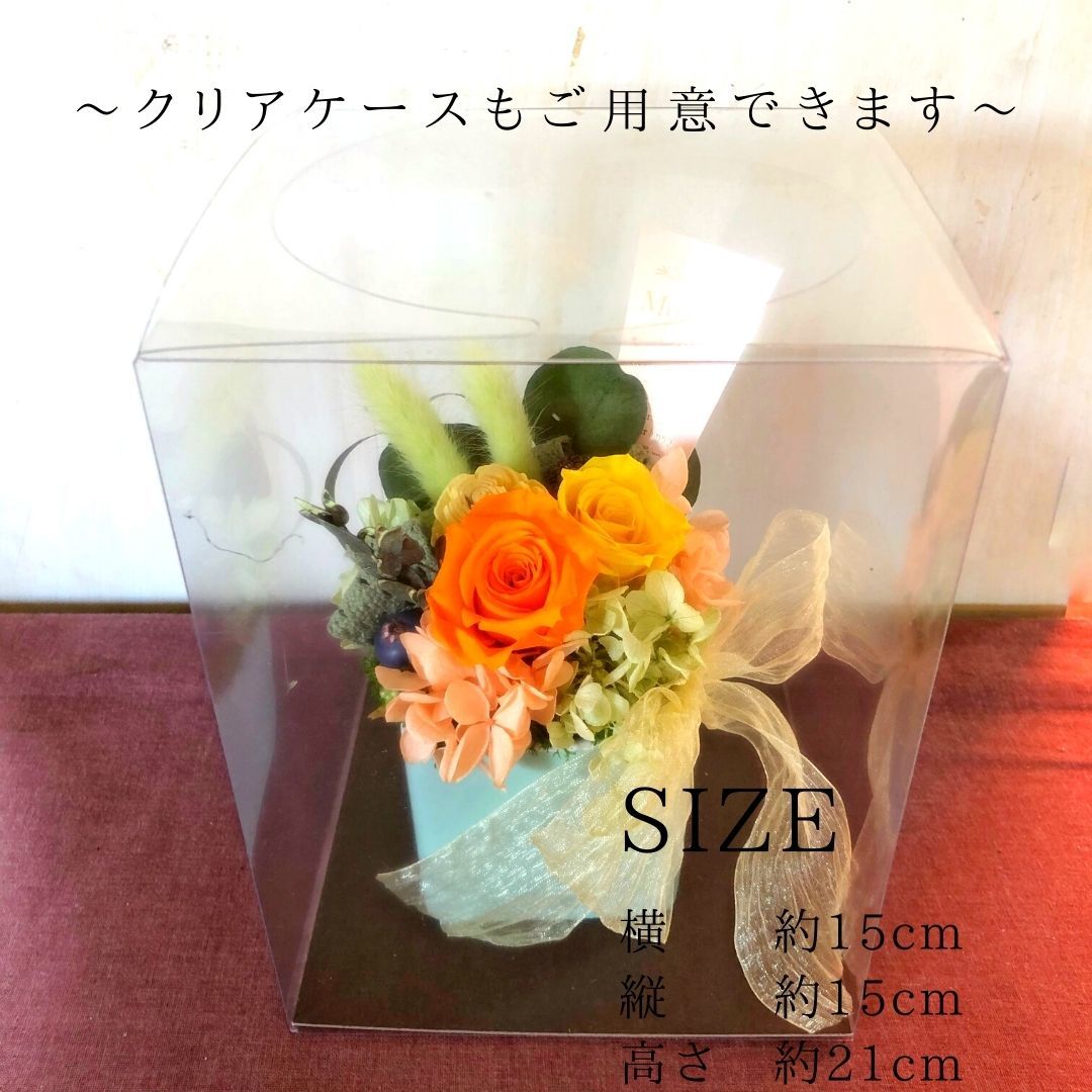 彰々たる箱お伴 プリザーブド御花 Happy Mother S Day ペパーミント 意味あるな道のりへ謝辞を込めて 大好きなお母親さんの欣ぶ顏が浮かびます Walden Co Za