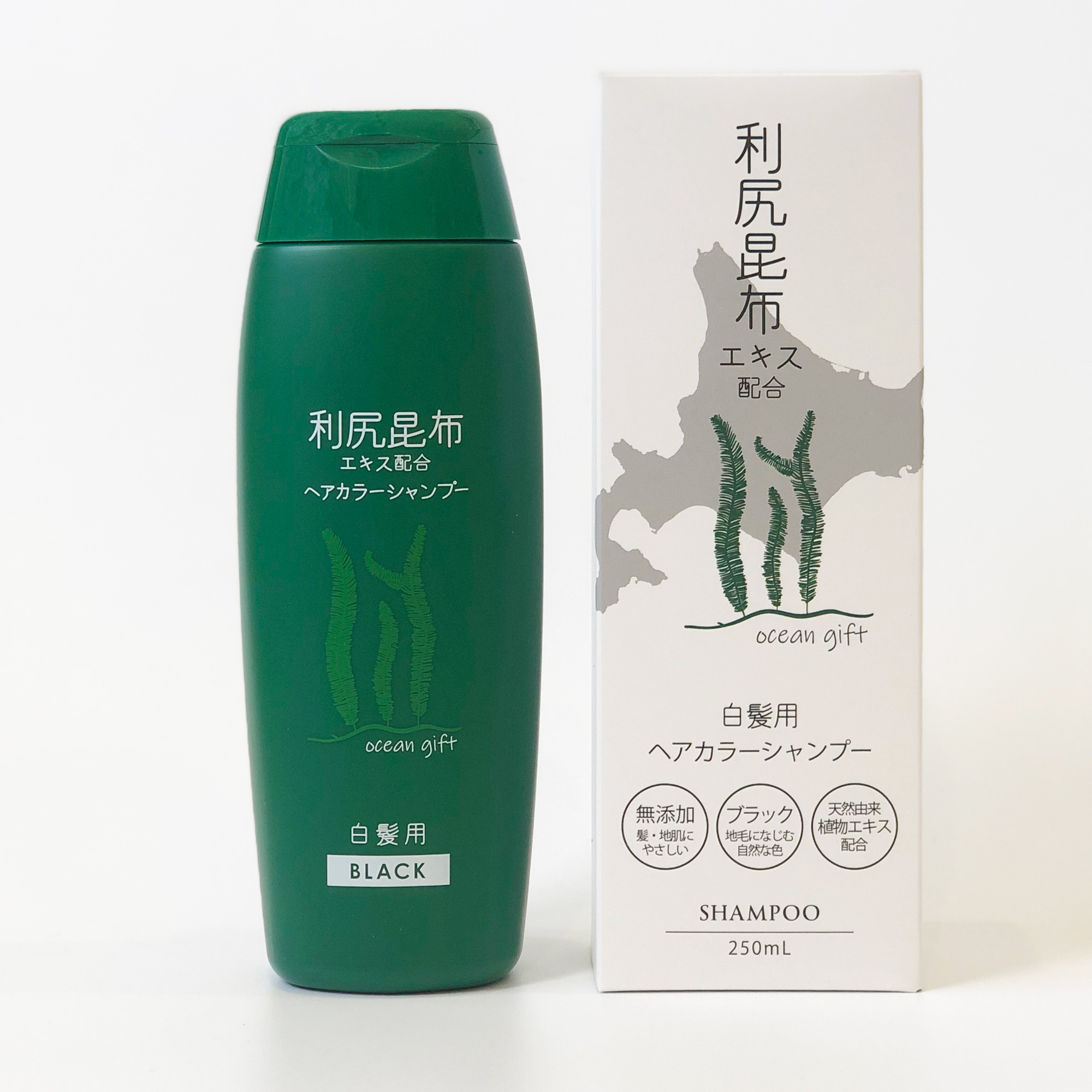 nobu・利尻昆布ヘアカラートリートメントブラック５本セット 利尻昆布 カラートリートメント 利尻昆布エキス 白髪染め ノン