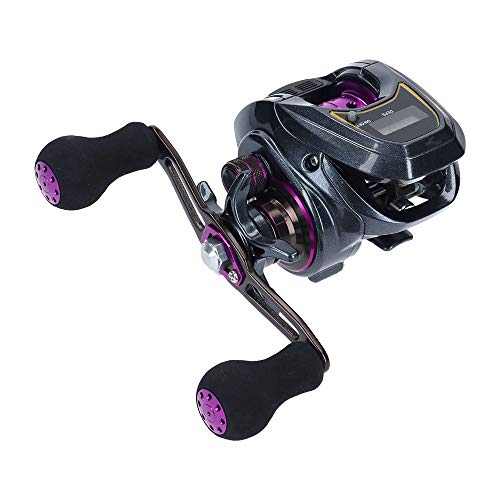 ダイワ(DAIWA) LIGHT SW X IC R カウンター付ベイトリール 送料無料