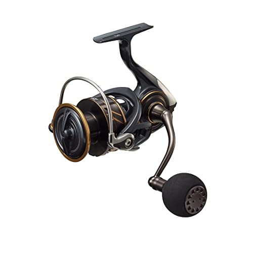 DAIWA - 【新品】ダイワ スピニングリール カルディア SW 6000D-H 2022 ダイワ スピニングリール 22カルディア SW 6000D-H 2022年モデル