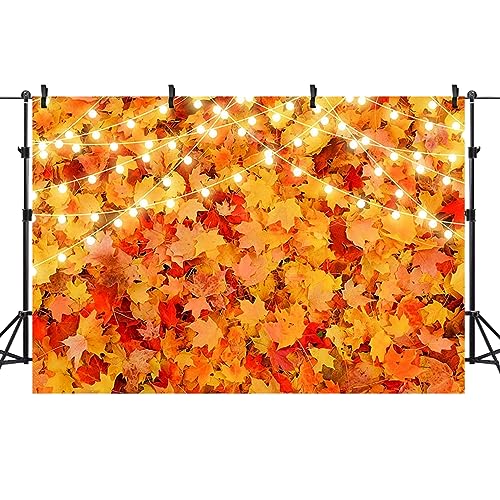 バック紙 背景紙 バックペーパー ドア 紅葉 かぼちゃ 秋 イベント パーティー スタジオ 写真撮影 壁紙 装飾 デコレーション ベビー 送料無料 10,003円