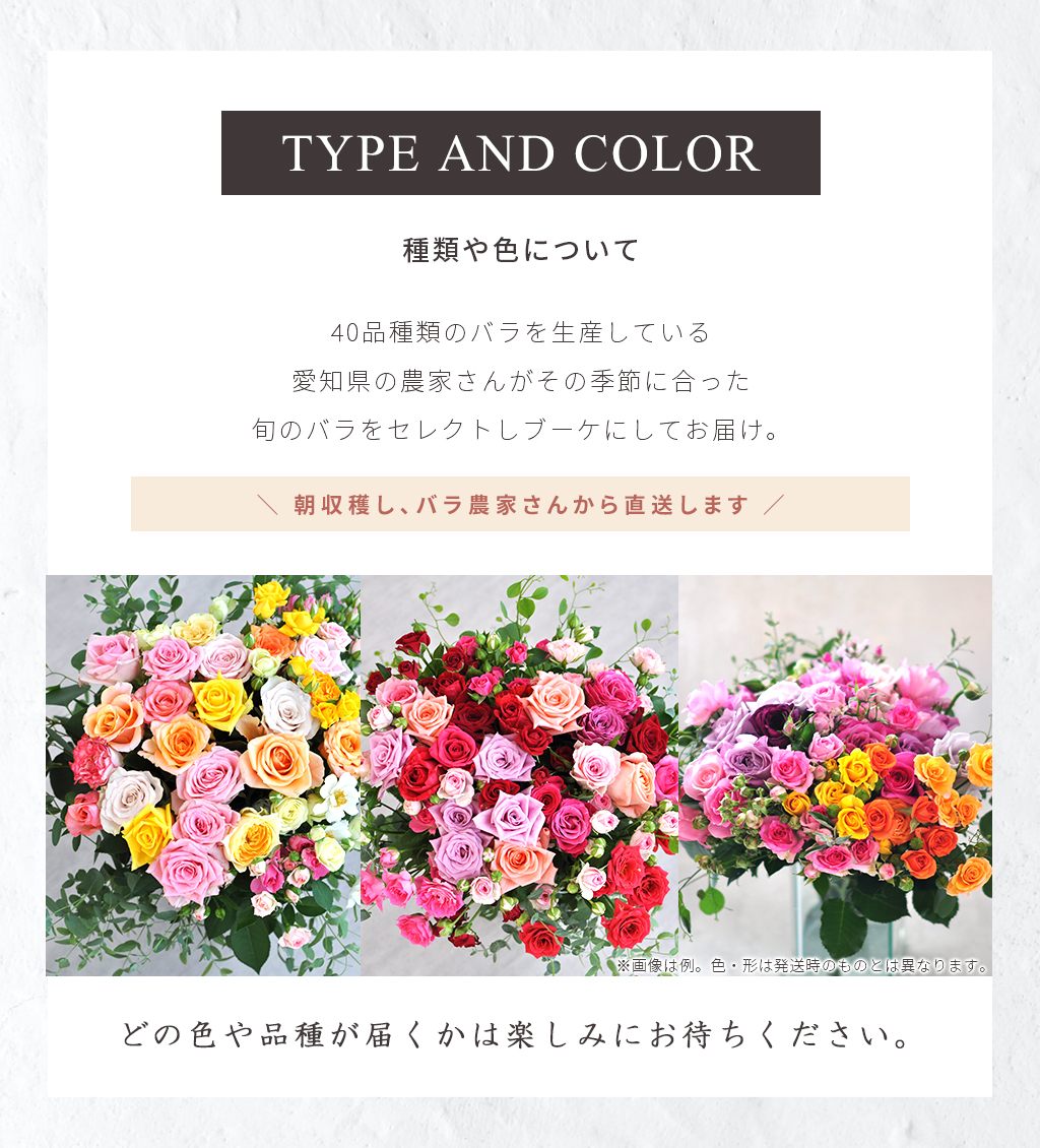 Rose Farm 花色お任せ 農園直送 Mixバラ 30本 バラ ばら 薔薇 ローズ ミックスカラー 朝摘み 新鮮 切花 花 生花 誕生日 記念日 結婚式 母の日 ギフト アレンジメント ブーケ 国産バラ 愛知県産 産地直送 送料無料 あす楽 Hira Bmix ローズファーム Mavipconstrutora Com Br