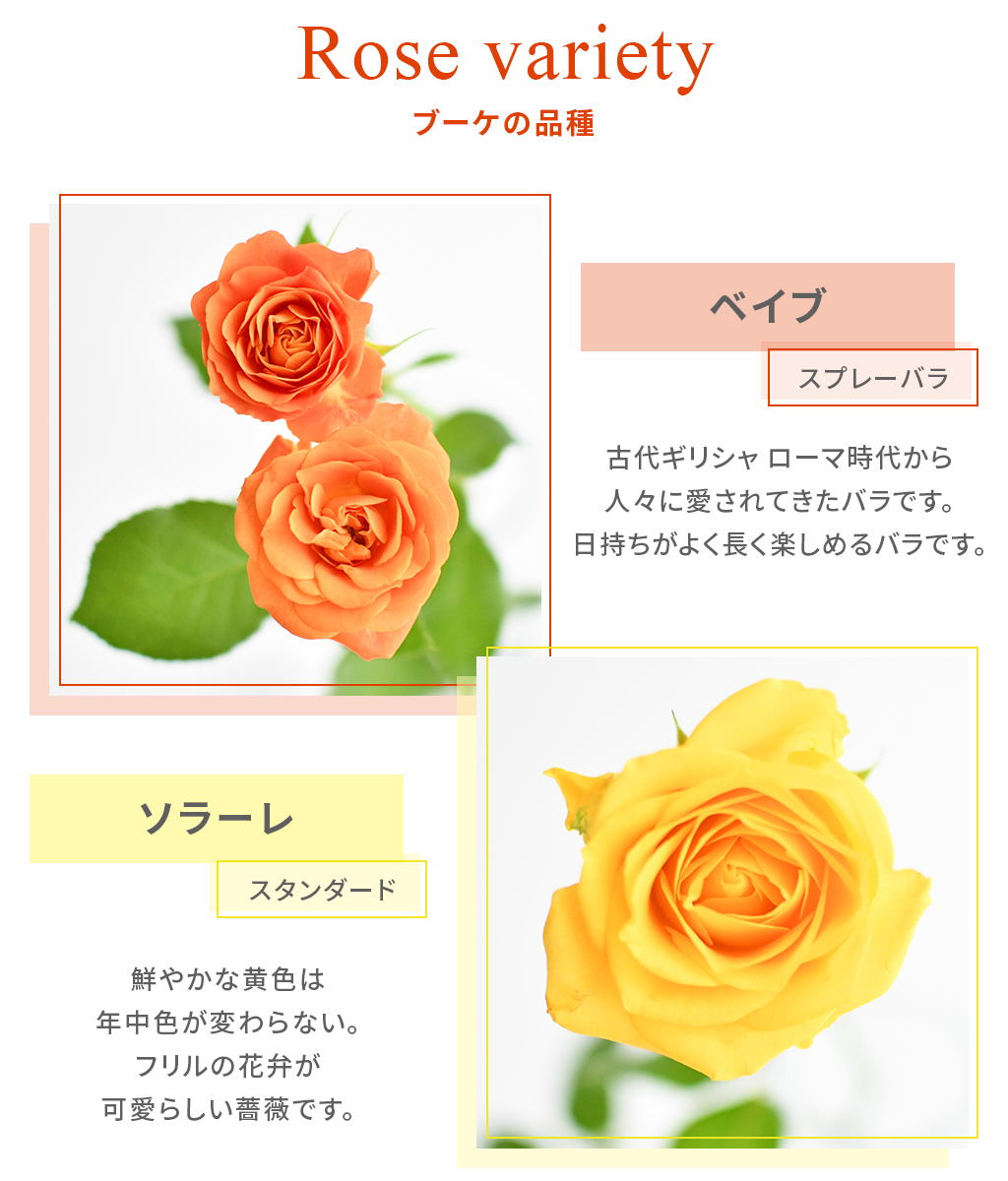 Rose Farm バラ花束 60本 オレンジ ラッピング選べる 切花 国産バラ花束 薔薇 生花 イエロー ミックスカラー Mixビタミンカラー 花 ばら 黄色