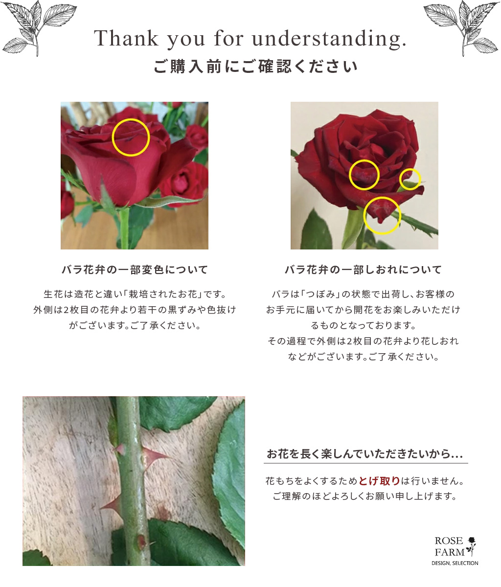 Rose Farm 花色お任せ 農園直送 Mixバラ 30本 バラ ばら 薔薇 ローズ ミックスカラー 朝摘み 新鮮 切花 花 生花 誕生日 記念日 結婚式 母の日 ギフト アレンジメント ブーケ 国産バラ 愛知県産 産地直送 送料無料 あす楽 Hira Bmix ローズファーム Mavipconstrutora Com Br