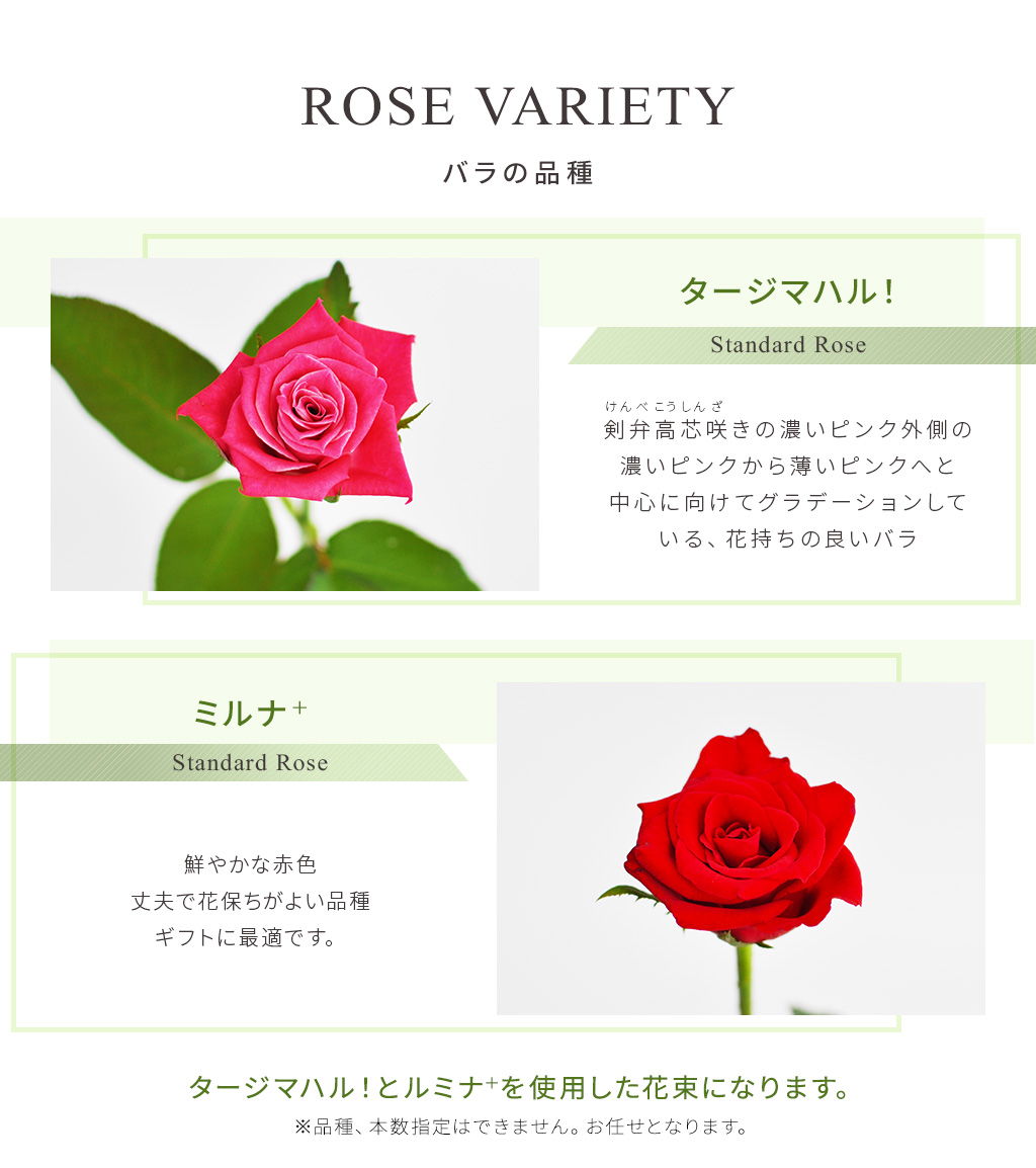 Rose Farm 本 品評会で多数の受賞 栃木県農園より直送 シックスタイルブーケ 濃いピンクと赤の花束 Liceochiloe Cl