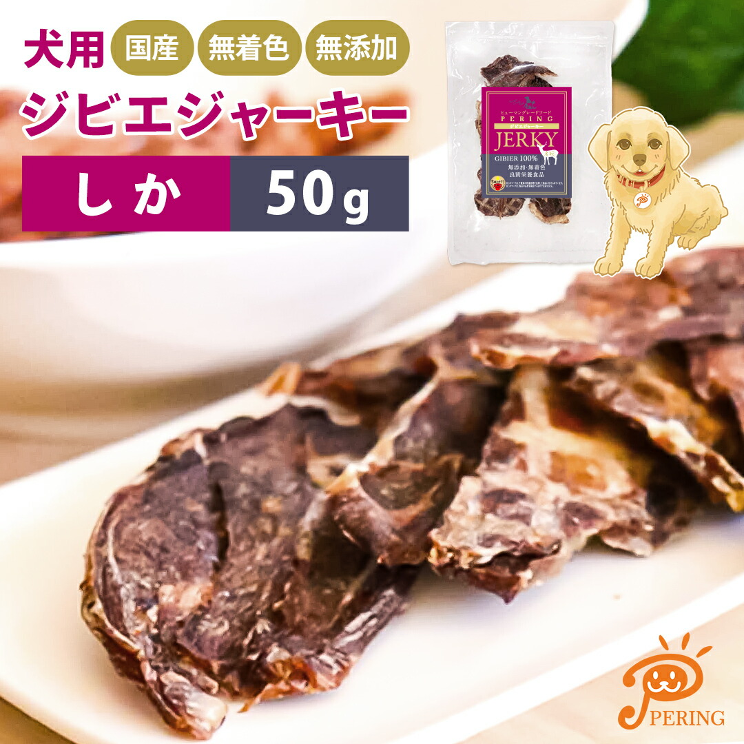 楽天市場】半額以下【6,930円→3,990円】訳あり品 【賞味期限2026年2月