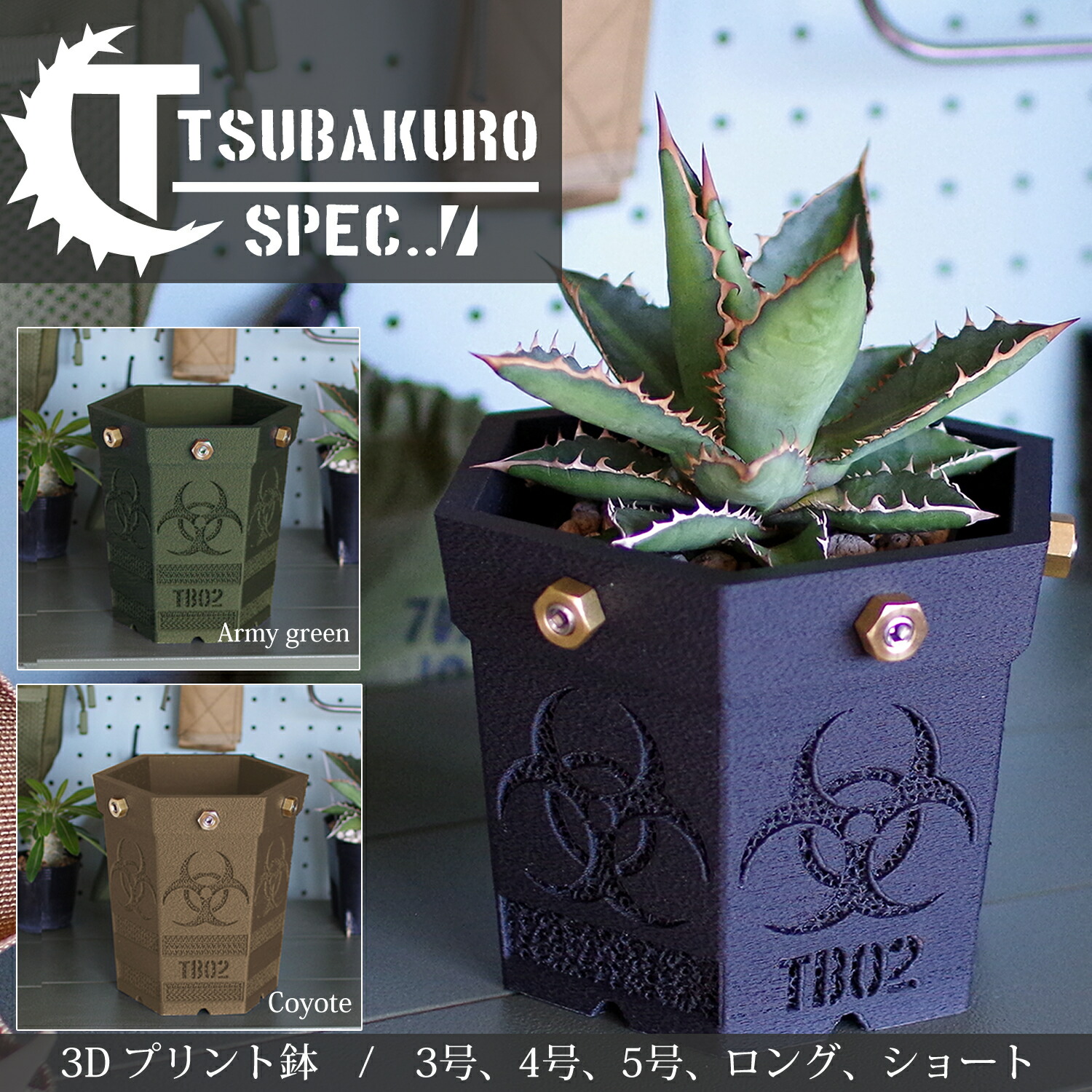 もち　オテロイ　白鯨　ボールタイプ　太鋸歯　2 楽天市場】アガベ 白鯨 【訳アリセール品】 チタノタ 3.5号 多肉