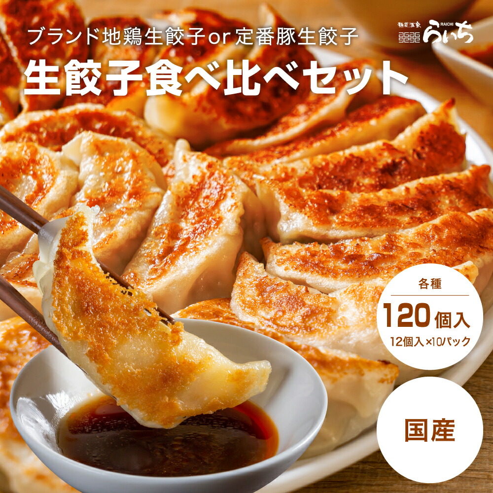 生餃子 食べ比べセット 120個  長州黒かしわ 鶏餃子 九州産豚肉 ギョーザ  送料無料 山口県 ブランド 地鶏 国産野菜 国内製造 こだわり 化学調味料 無添加 ギフト プレゼント ぎょうざ おかず 弁当 冷凍 取り寄せ つまみ 点心 惣菜 贈答