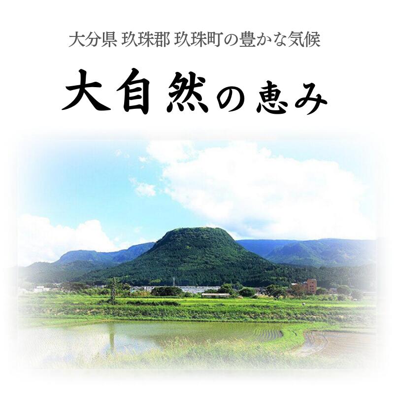 ご注文で当日配送 大分県のブランド牛豊後牛すき焼き3人前 すき焼き すきやき 鍋 セット 鍋セット 簡単 ギフト 贈り物 お祝い 誕生日 内祝い  退職祝い プレゼント お取り寄せグルメ 人気 国産 ヘルシー 送料無料 fucoa.cl