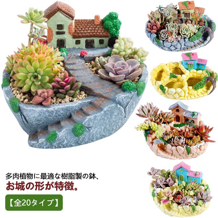 楽天市場】寄せ植え フラワーポット カランコエ ハオルチア クラッスラ