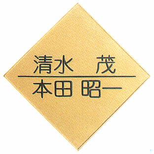 【送料無料】立体陶板表札（戸建・マンション両用タイプの表札） TK-03つやあり
