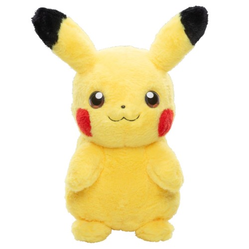 隠し異類異形 おうちにポケモン PIKACHU