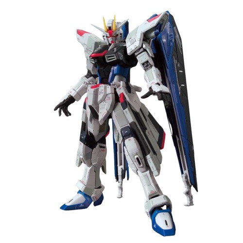 RG 1/144 ZGMF-X10A フリーダムガンダム Ver.GCP 精神的な統合式プラモデル
