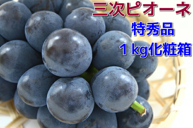 旬の走り【加温ハウス栽培】<br>【三次ピオーネ】『黒い真珠』<br>特秀品１ｋｇ箱(２房入り)<br>広島ぶどうピオーネ<br>７月中旬より発送予定<br>【ぶどう　取り寄せ】<br>【ピオーネ　取り寄せ】<br>同梱不可・日時指定不可<br>【お中元ピオーネ ぶどう中元】