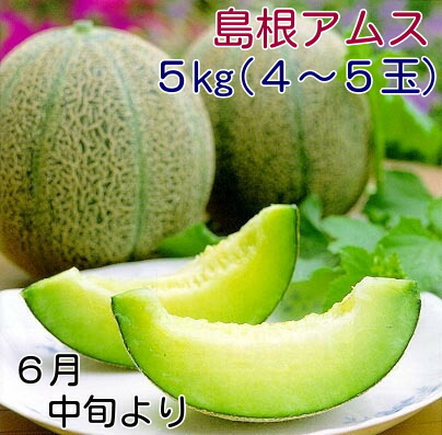旬の盛り６月１５日ごろより発送予定<br>島根アムスメロン大玉５ｋｇ箱<br>【益田メロン】島根の旬のフルーツ<br>【おみやげ・贈り物に最適】<br>【メロン　取り寄せ】【アムスメロン　取り寄せ】<br>【旬のメロン　フルーツ　くだもの】<br>