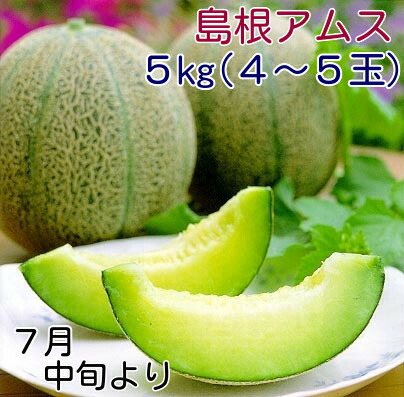 島根アムスメロン５ｋｇ箱<br>【お中元にいいね・贈り物に最適】<br>島根のフルーツ！旬のメロン<br>７月中旬より順次発送予定<br>【旬の果物・フルーツ・くだもの】<br>【メロン　取り寄せ】【アムスメロン　取り寄せ】<br>【お中元メロン・メロン中元】<br>