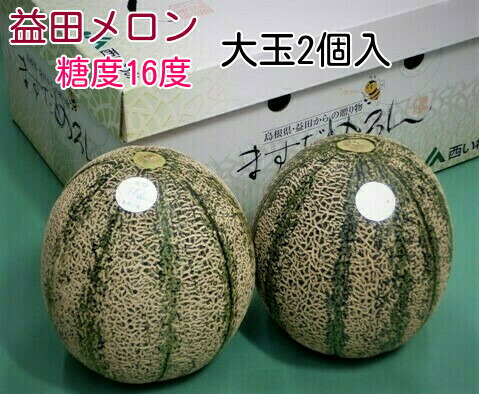 旬の盛り６月中旬ごろより発送予定<br>【益田産アムスメロン】<br>プレミアム特秀品２玉入り進物箱<br>こだわり栽培糖度１６度以上<br>島根県の旬のフルーツ<br>【メロン　取り寄せ】【アムスメロン　取り寄せ】<br>【旬のメロン　フルーツ　くだもの】<br>