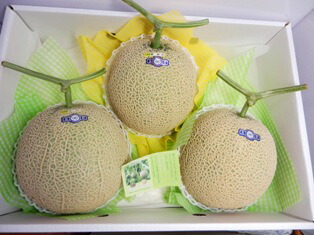 ７月中旬ごろより順次発送予定<br>【送料無料】島根アールスメロン<br>【数量限定】(特大３玉入）進物箱<br>島根のフルーツ「夏」旬のメロン<br>【贈り物に最適】<br>【お中元ギフト】【お中元メロン】<br>【旬の果物・フルーツ・くだもの】<br>