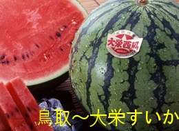 旬の走り６月上旬ごろより発送予定<br>鳥取西瓜の本場！大栄すいか<br>２Ｌサイズ２玉産地箱入り<br>【鳥取の旬のフルーツ「夏」】<br>【同梱不可】１配送先に１箱の発送<br>【すいか　取り寄せ】<br>【旬の果物　フルーツ　くだもの】<br>