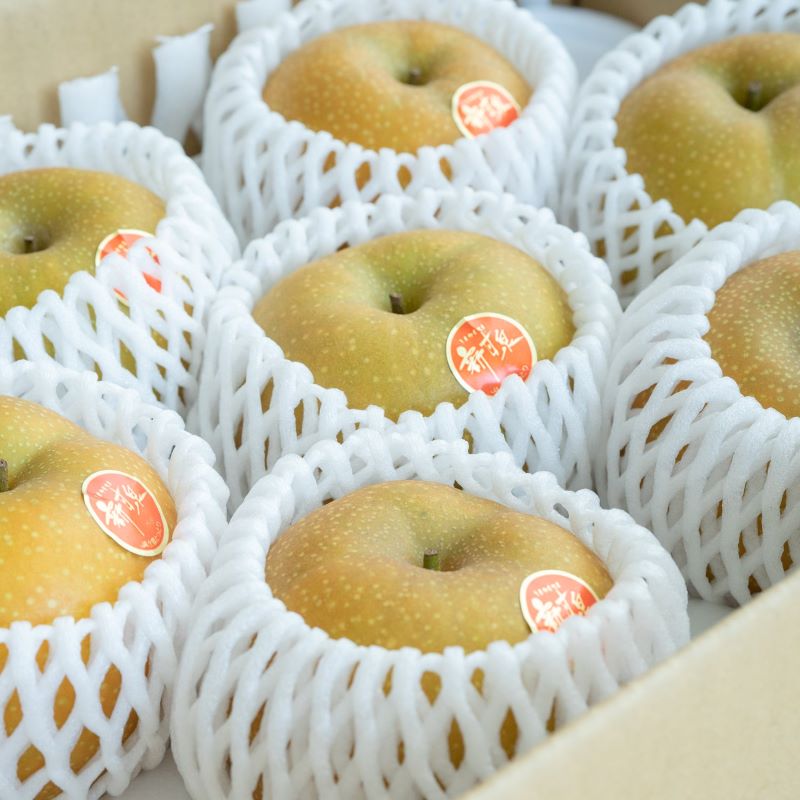 新甘泉（しんかんせん）梨<br>【鳥取の旬のフルーツ「初秋」】<br>【店長おすすめ旬の梨】<br>【旬の果物・フルーツ・くだもの】<br>【なし　取り寄せ】【梨　取り寄せ】<br>８月下旬より順次発送予定<br>