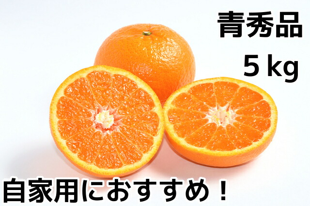 楽天市場 ぶちうま やまぐち ゆめほっぺ５ｋｇ箱青秀品 ｍ ３l寸 山口県の旬の果物 せとみ のブランド品３月下旬ごろより順次発送予定 フルーツまき