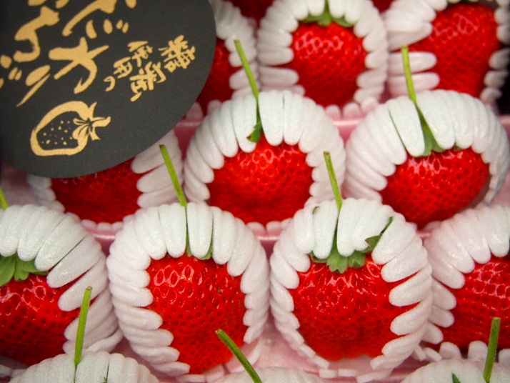 楽天市場 熊本の旬の果物きくちのまんま ひのしずく 苺 厳選イチゴ熊本いちご １月末ごろから順次発送予定 同梱 日時指定不可 １月 ２月が旬のくだもの フルーツまき